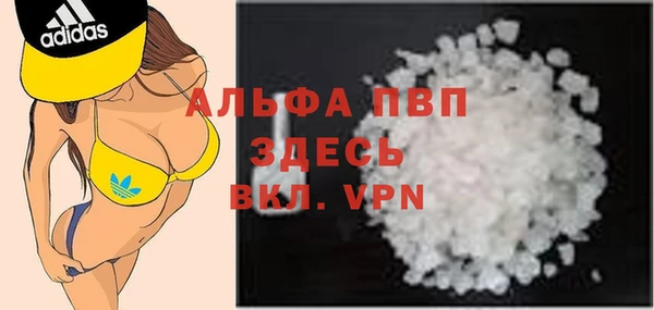 СК Аркадак